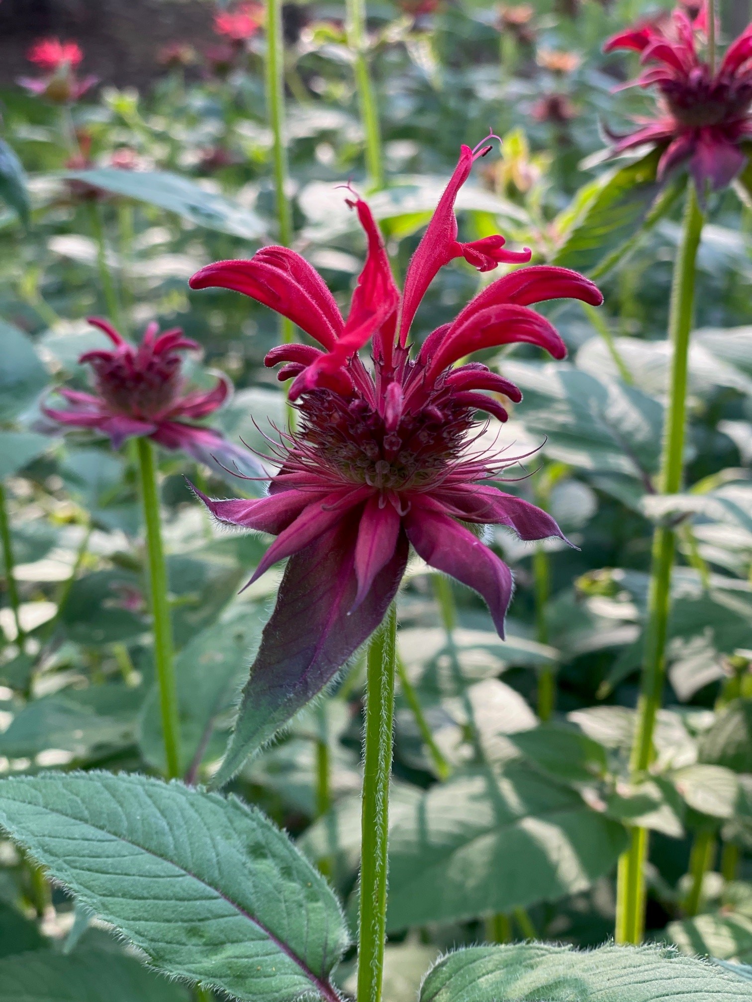 Highland Charter Township, Michigan Home